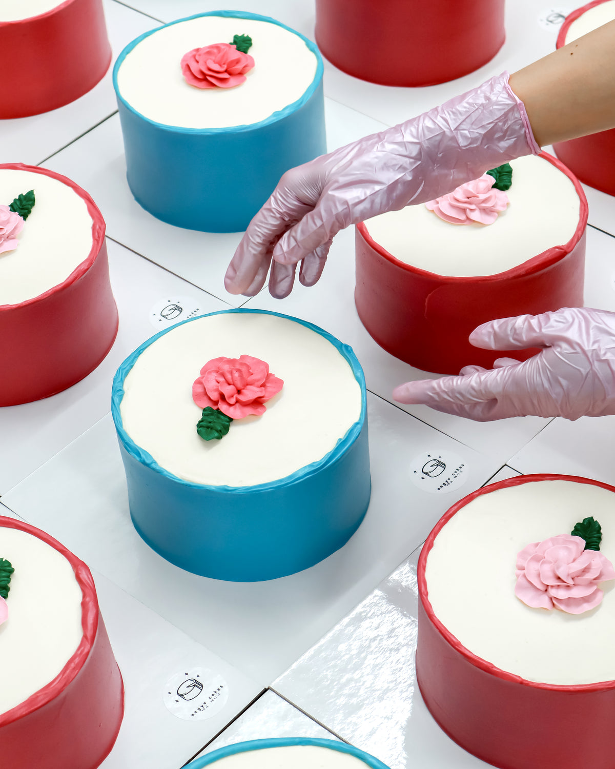 ~ Mother’s Day Aegyo Cakes ~