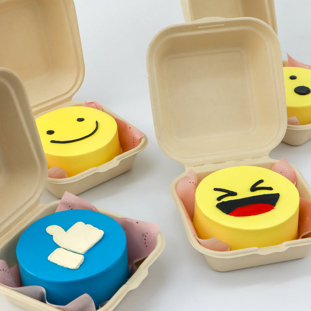 POP UP SALE | ~ Emoji Lunchbox Aegyo Cakes ~