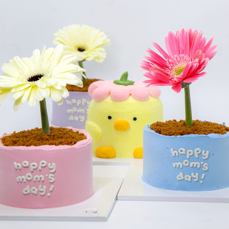 The Mom's Day Collection