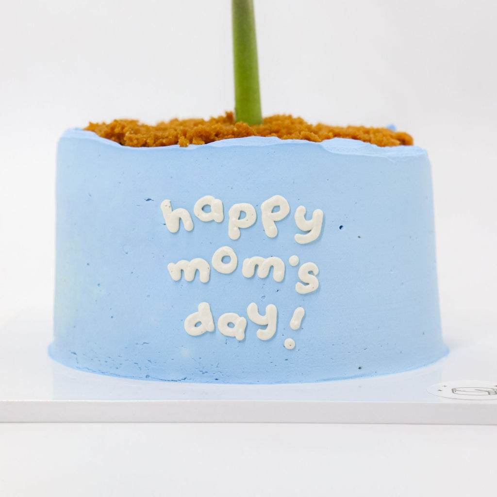 Mini Flower Pot Dark Choco Bonbon Burnt Basque Aegyo Cheesecake (Mom's Day)