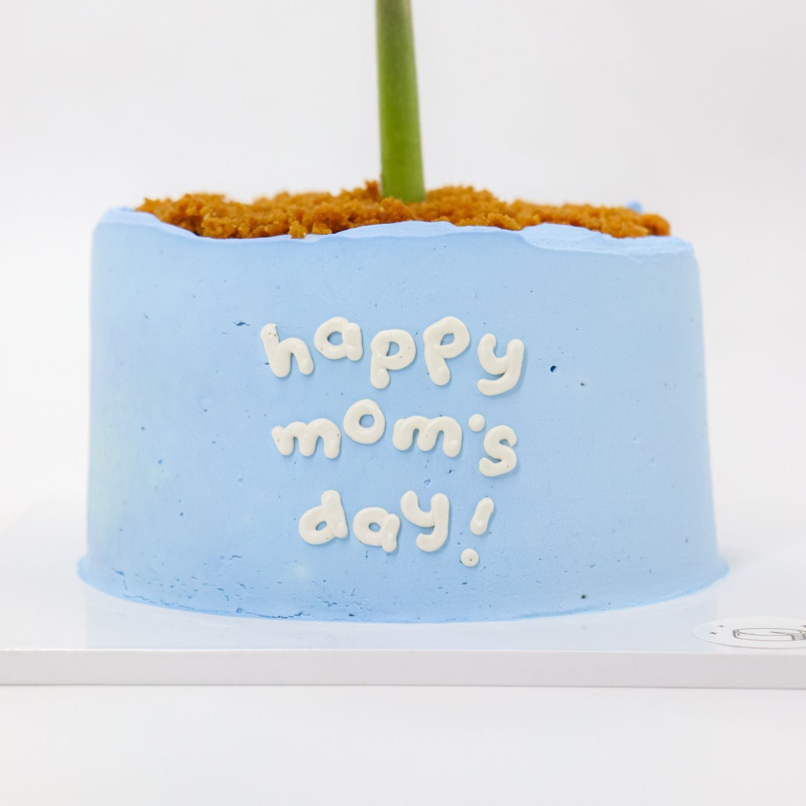 Mini Flower Pot Dark Choco Bonbon Burnt Basque Aegyo Cheesecake (Mom's Day)