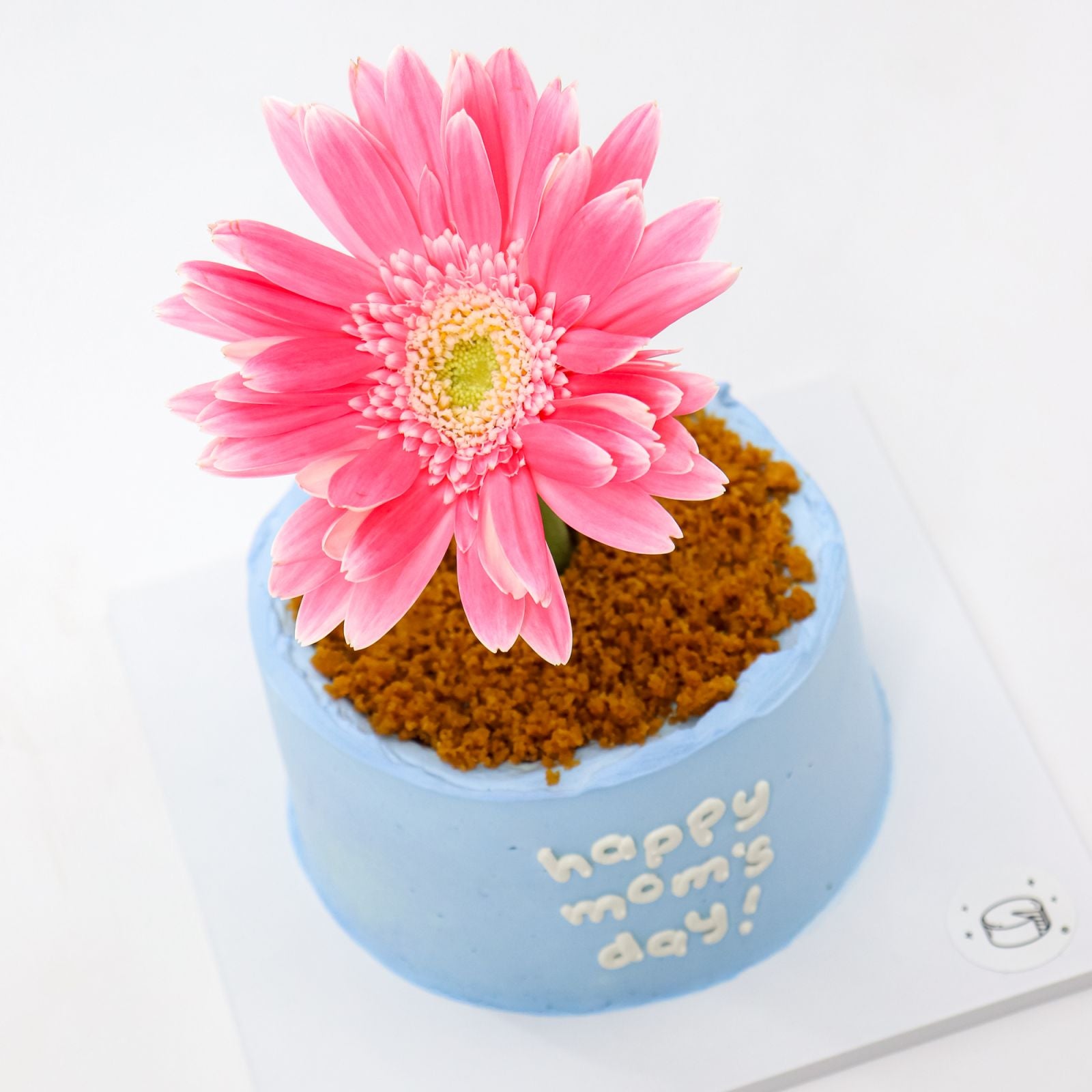 Mini Flower Pot Dark Choco Bonbon Burnt Basque Aegyo Cheesecake (Mom's Day)