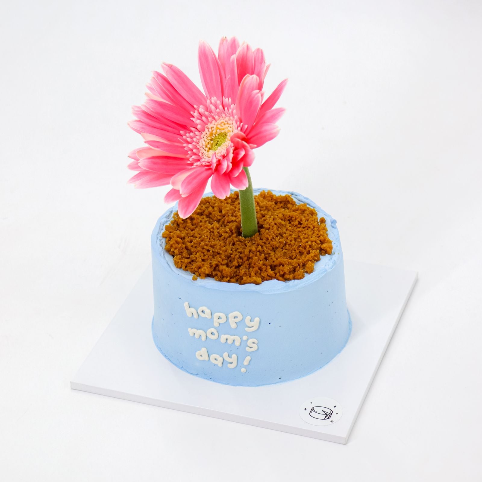 Mini Flower Pot Dark Choco Bonbon Burnt Basque Aegyo Cheesecake (Mom's Day)