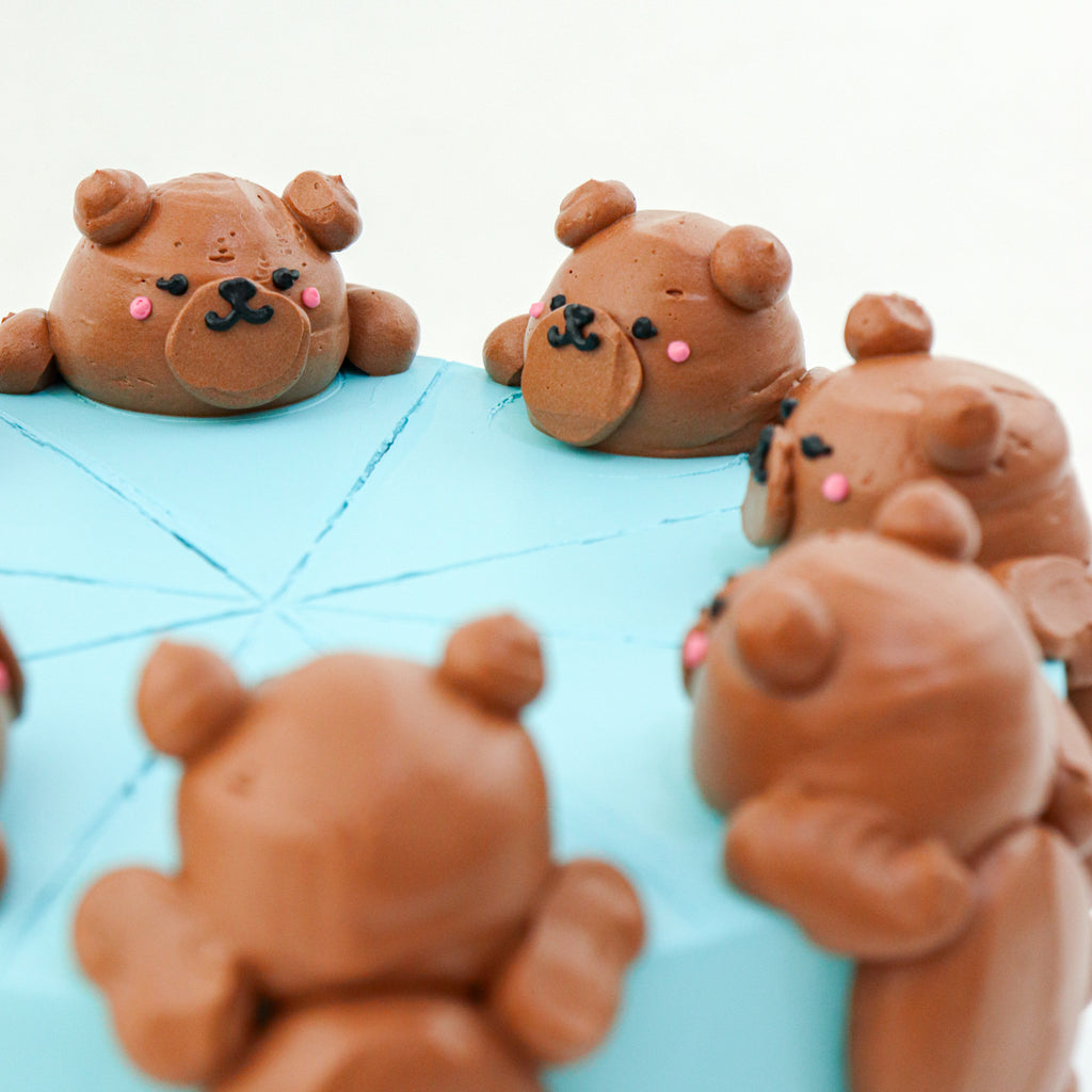 6" Dark Choco Bonbon Daily Aegyo Cake (Original)