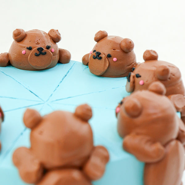 6" Dark Choco Bonbon Daily Aegyo Cake (Original)