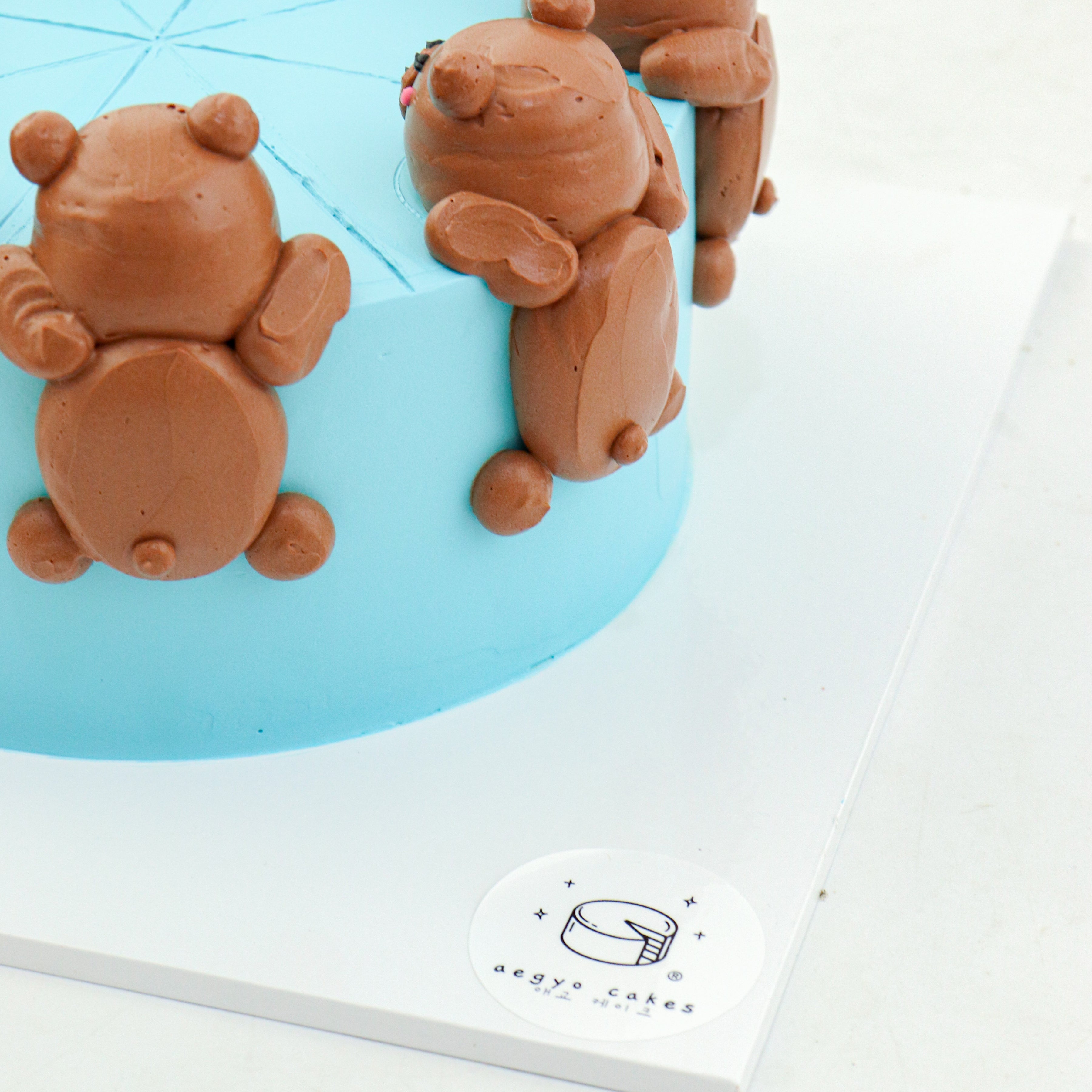 6" Dark Choco Bonbon Daily Aegyo Cake (Original)