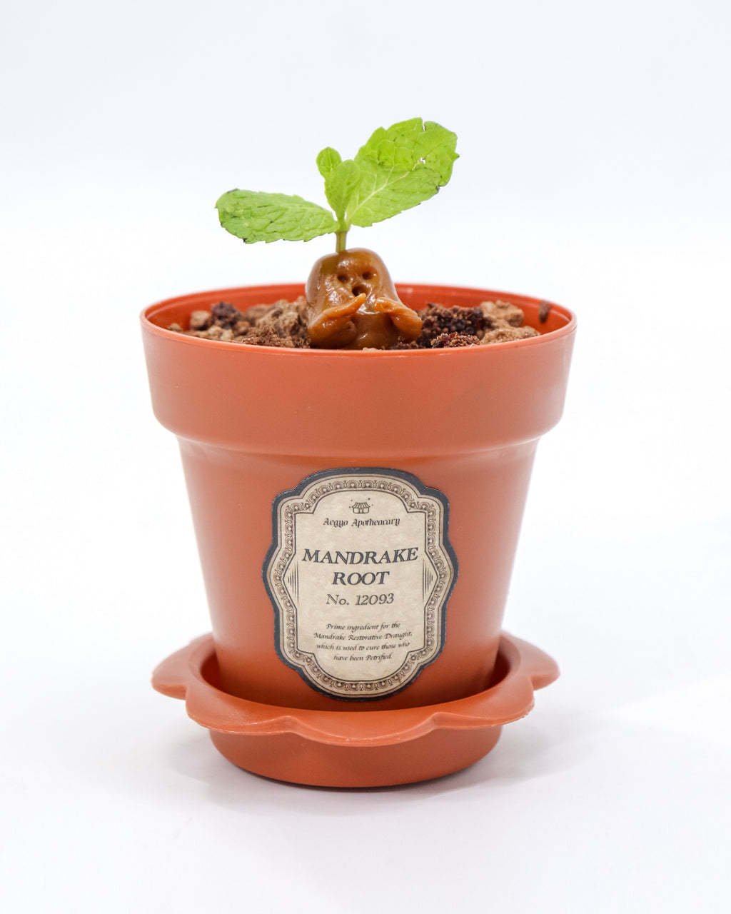 Manduraku Pistachio Pot (Potion Room Special)