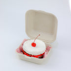 Lunchbox Dark Choco Bonbon Burnt Basque Aegyo Cheesecake (Winter Edition)