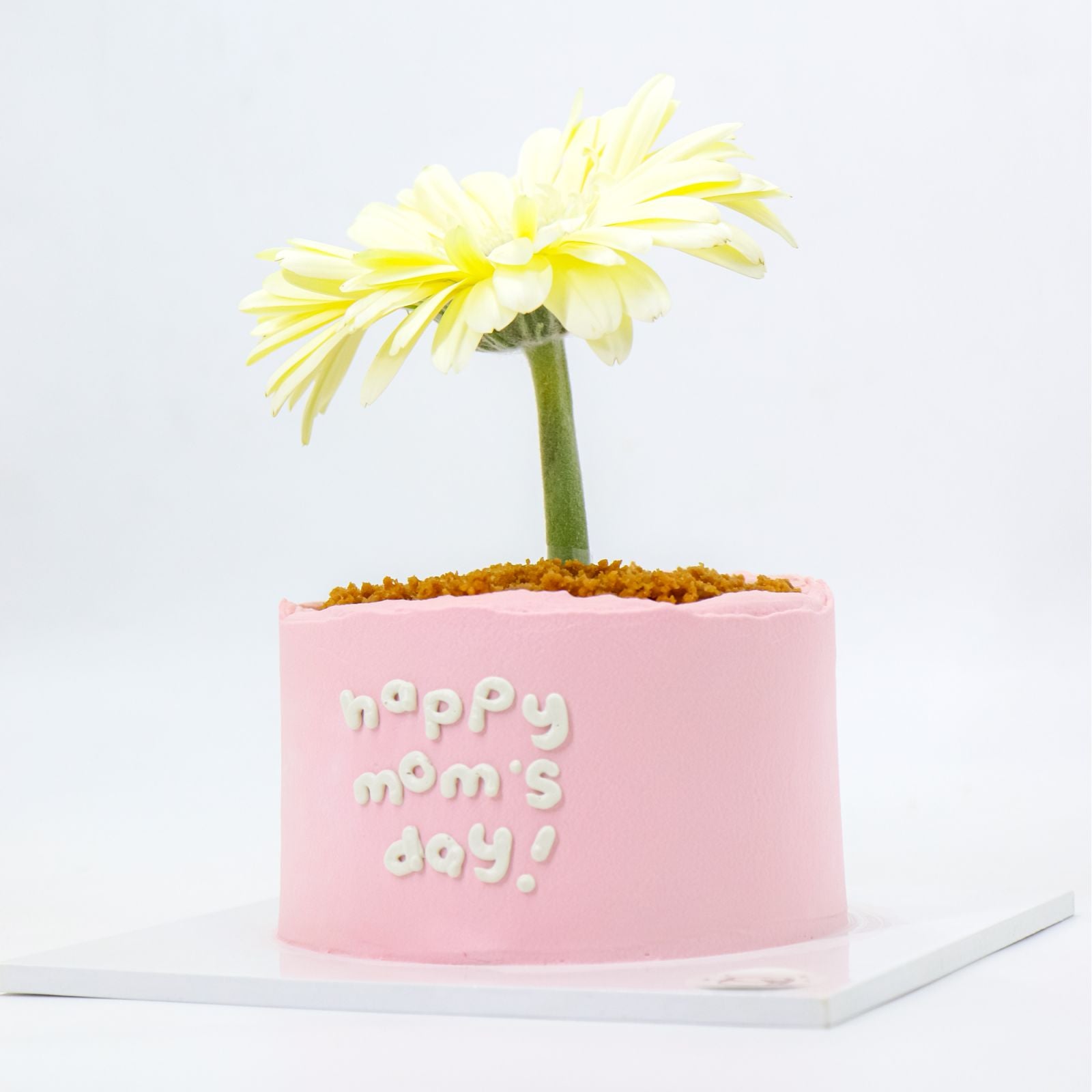 Mini Flower Pot Matcha Burnt Basque Aegyo Cheesecake (Mom's Day)