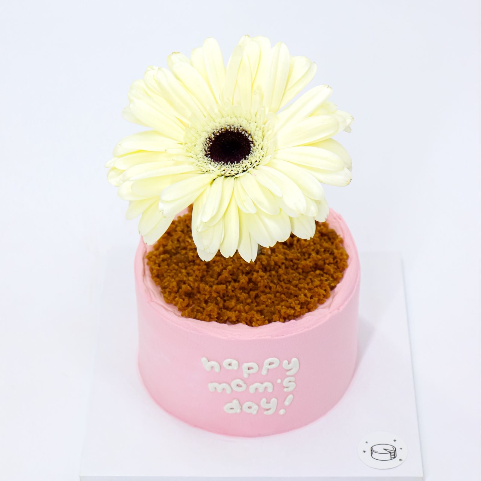 Mini Flower Pot Matcha Burnt Basque Aegyo Cheesecake (Mom's Day)