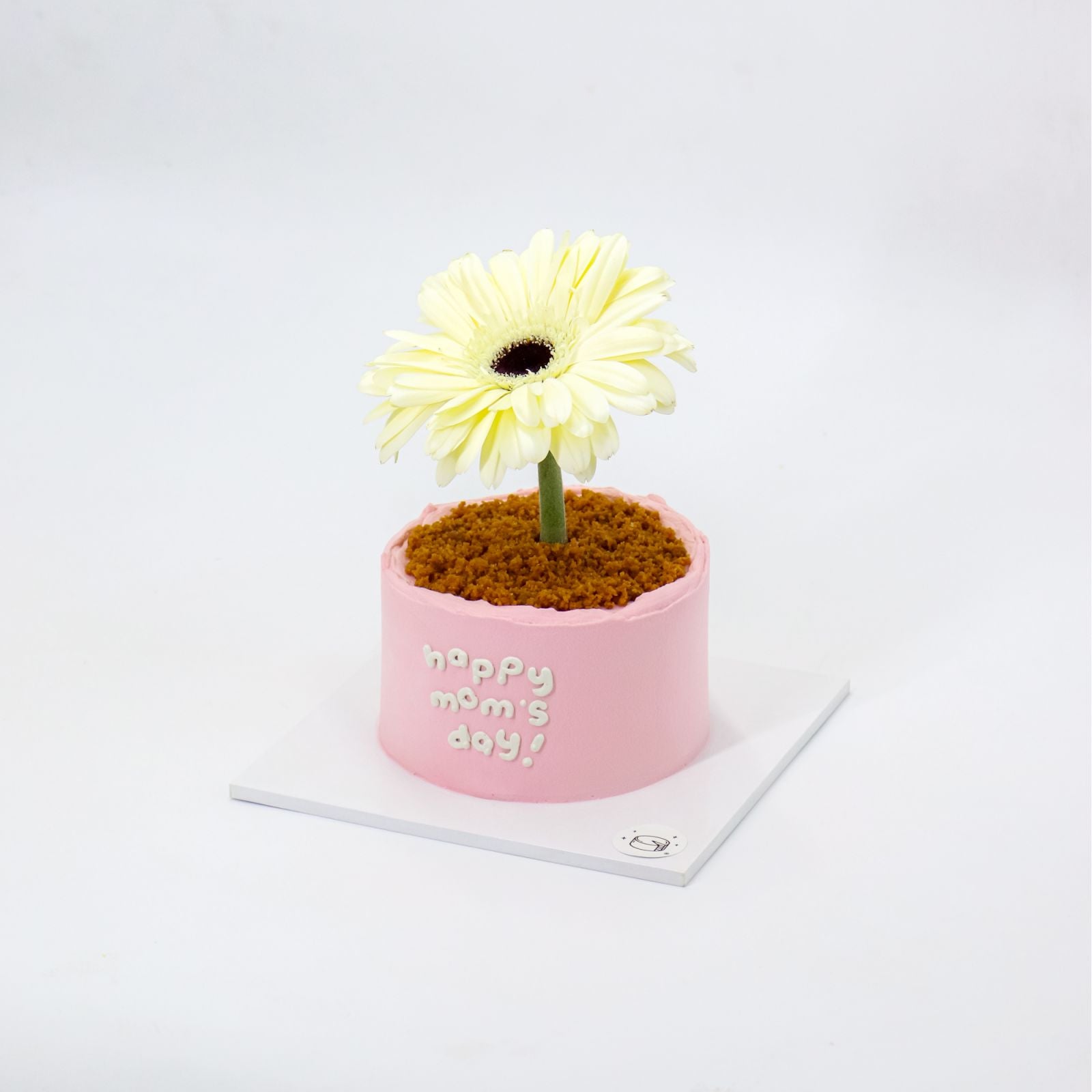 Mini Flower Pot Matcha Burnt Basque Aegyo Cheesecake (Mom's Day)
