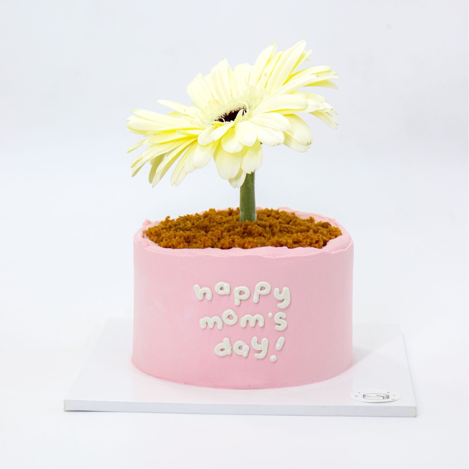 Mini Flower Pot Matcha Burnt Basque Aegyo Cheesecake (Mom's Day)