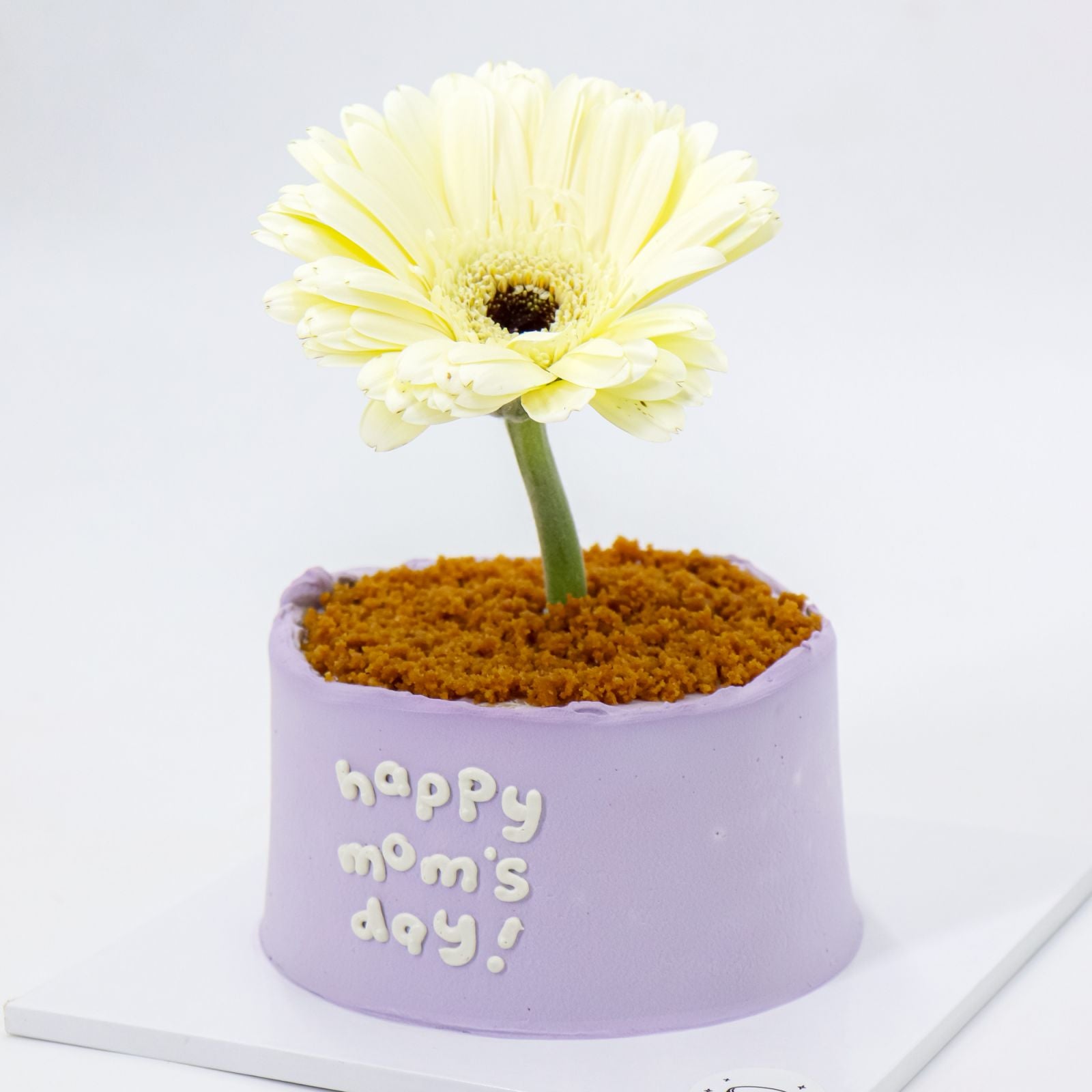 Mini Flower Pot Original Burnt Basque Aegyo Cheesecake (Mom's Day)