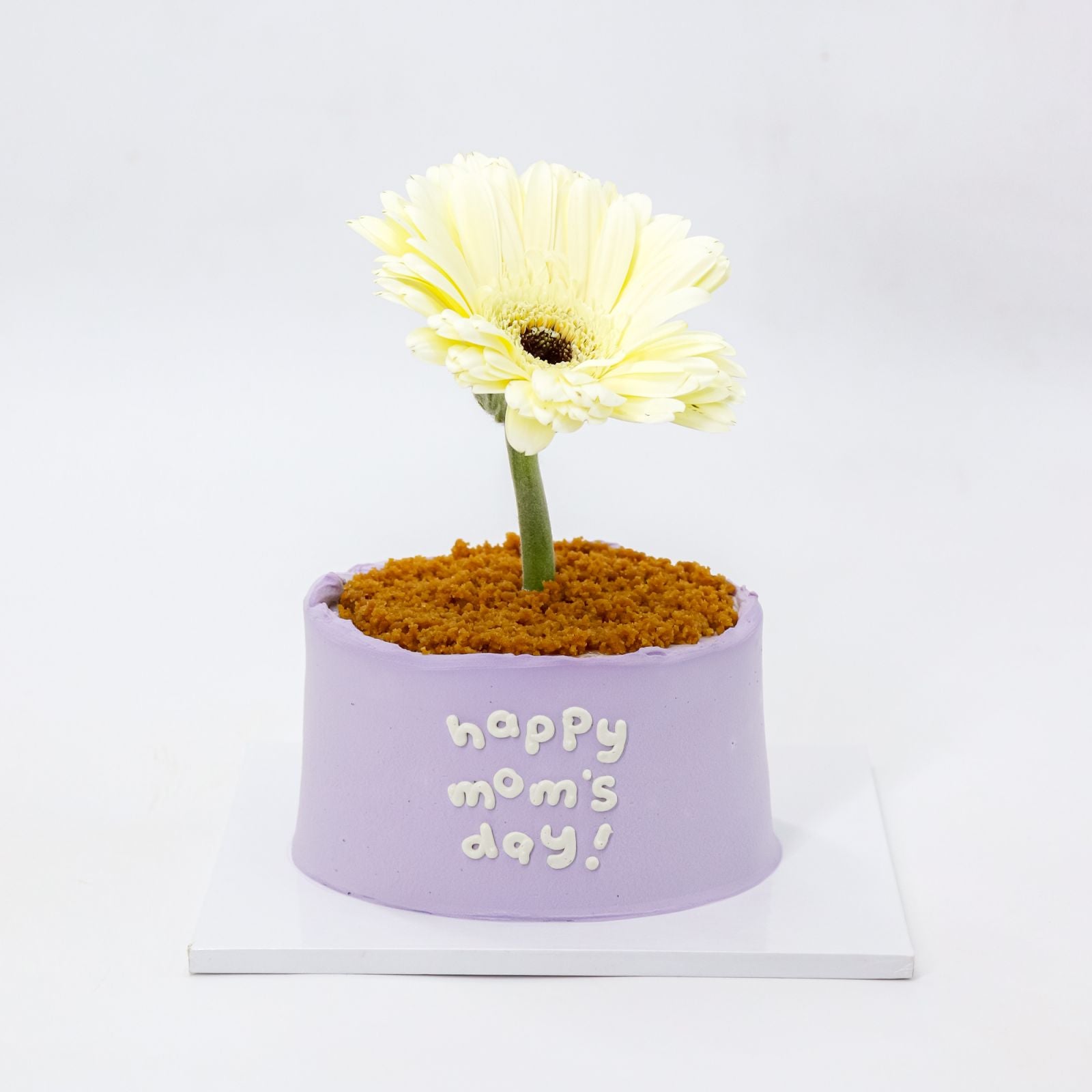 Mini Flower Pot Original Burnt Basque Aegyo Cheesecake (Mom's Day)