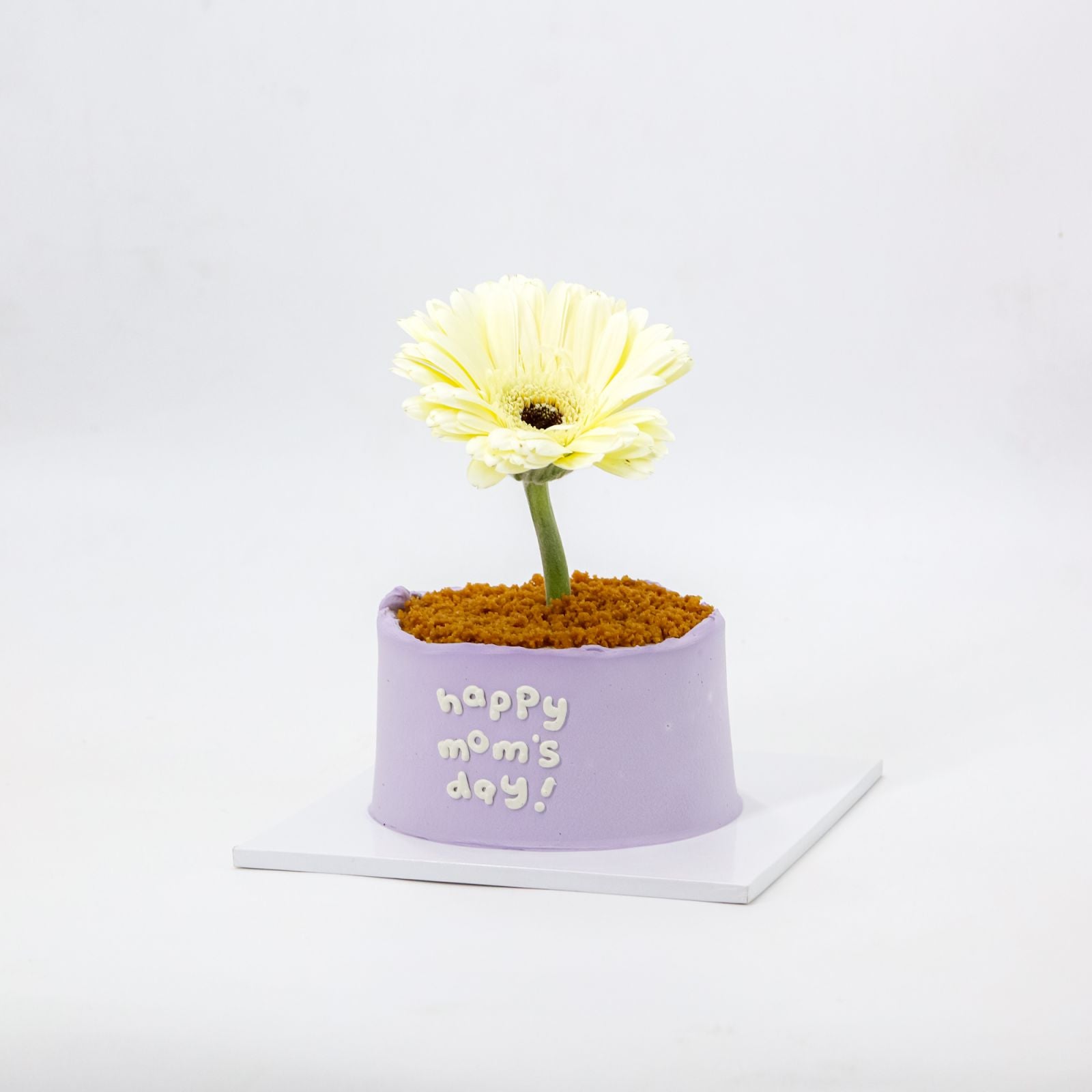 Mini Flower Pot Original Burnt Basque Aegyo Cheesecake (Mom's Day)