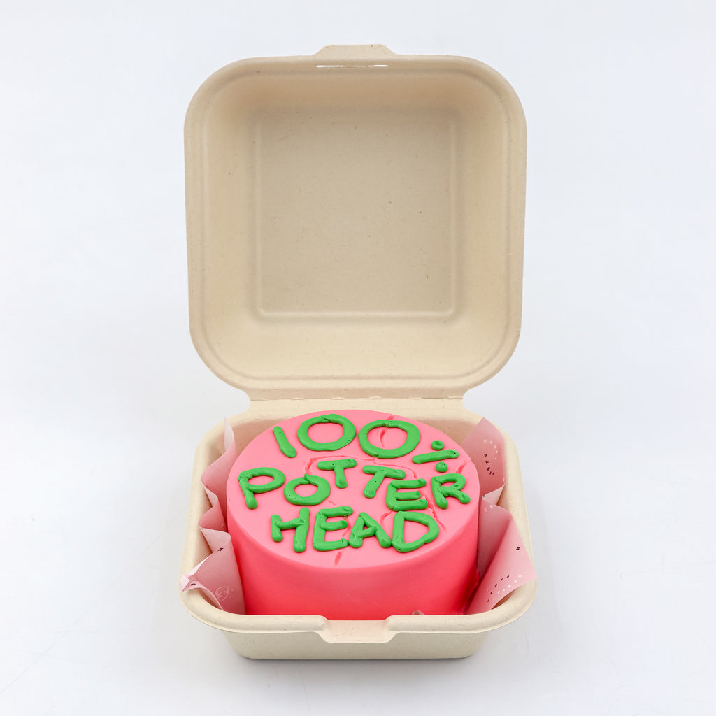 Lunchbox Harry Potter's Birthday Signature Aegyo Cake