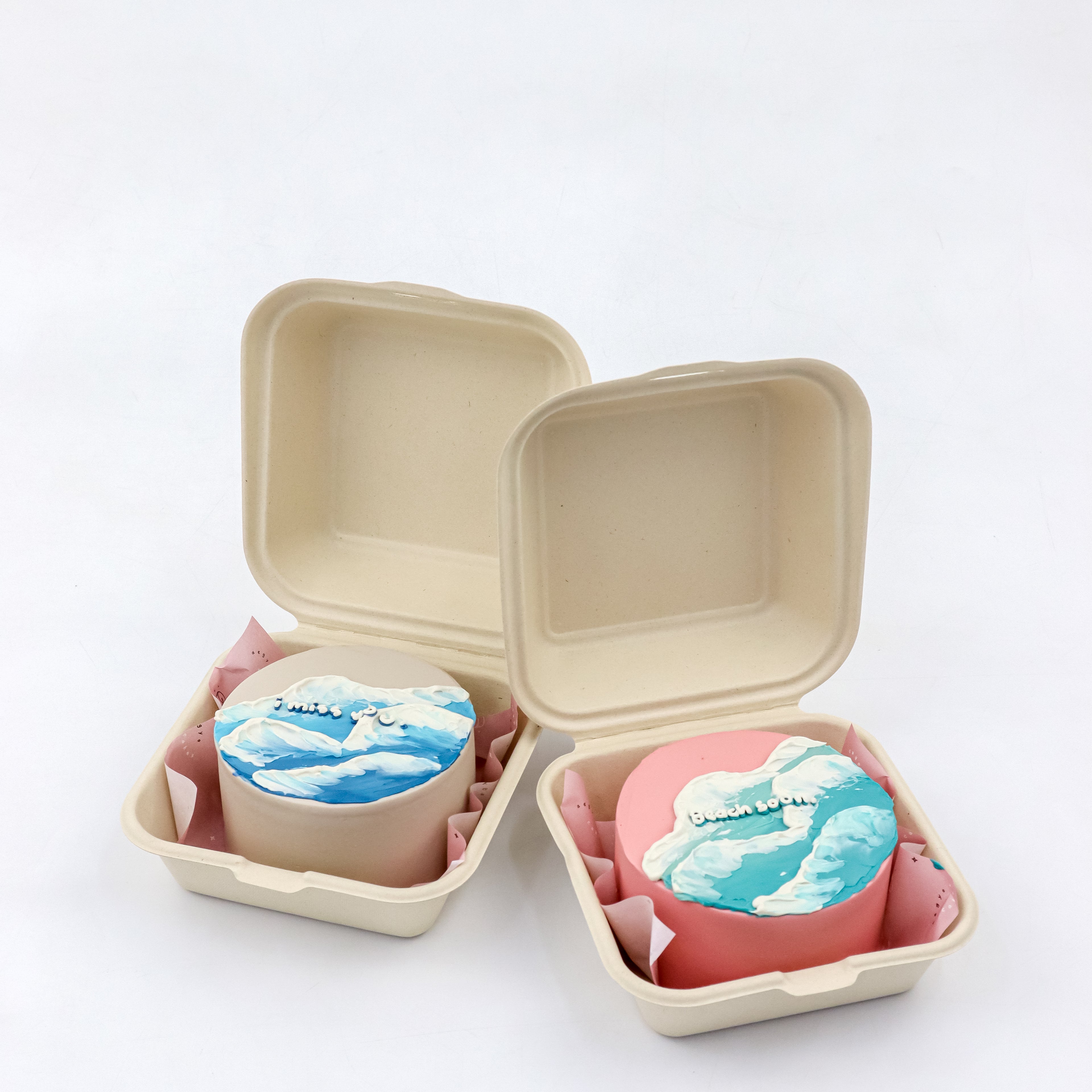 Lunchbox Beach Vibes Signature Aegyo Cake
