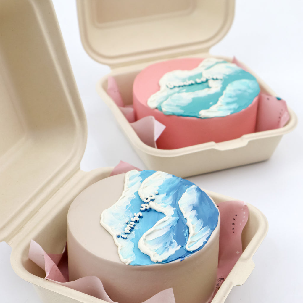 Lunchbox Beach Vibes Signature Aegyo Cake