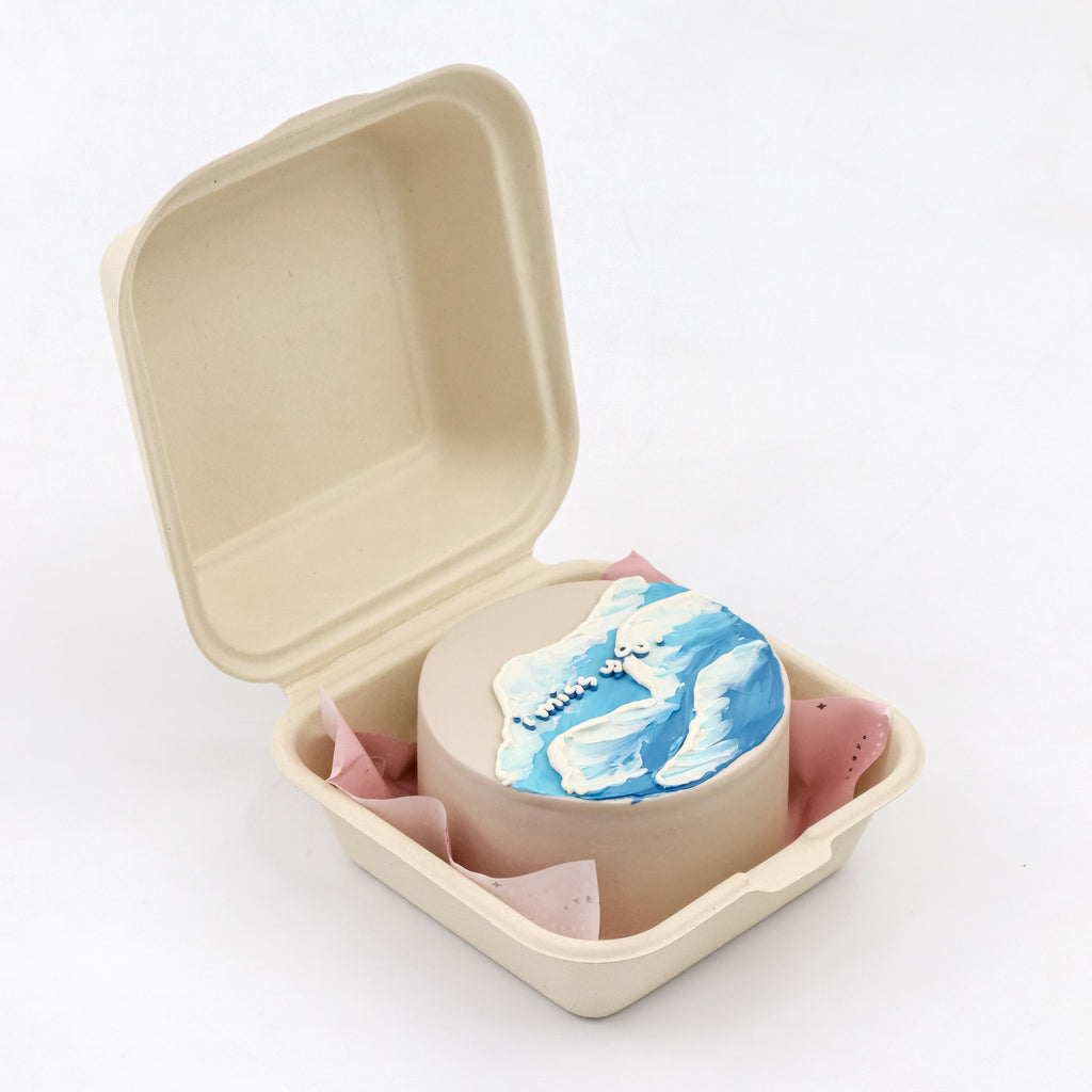 Lunchbox Beach Vibes Signature Aegyo Cake