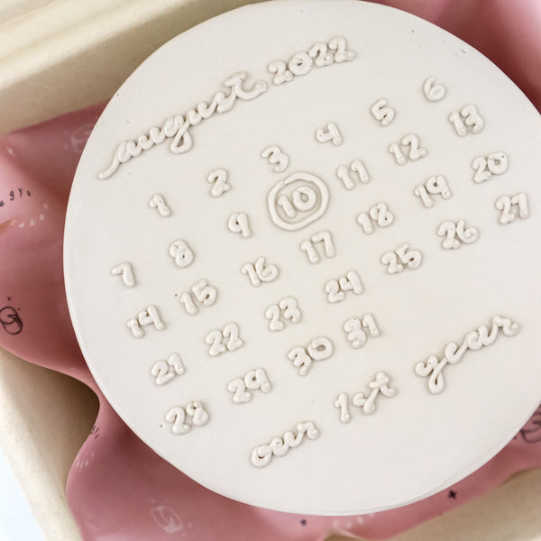 Lunchbox Calendar Signature Aegyo Cake