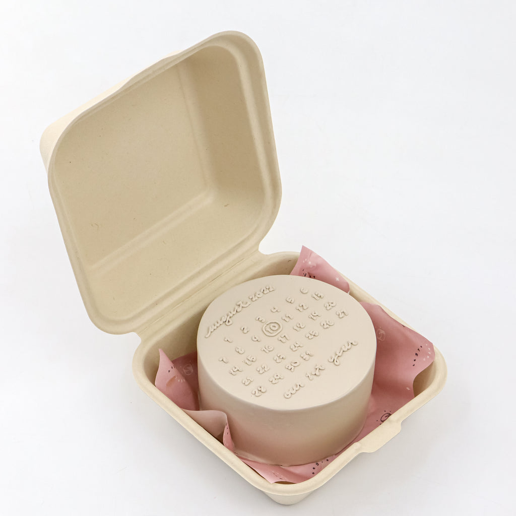 Lunchbox Calendar Signature Aegyo Cake