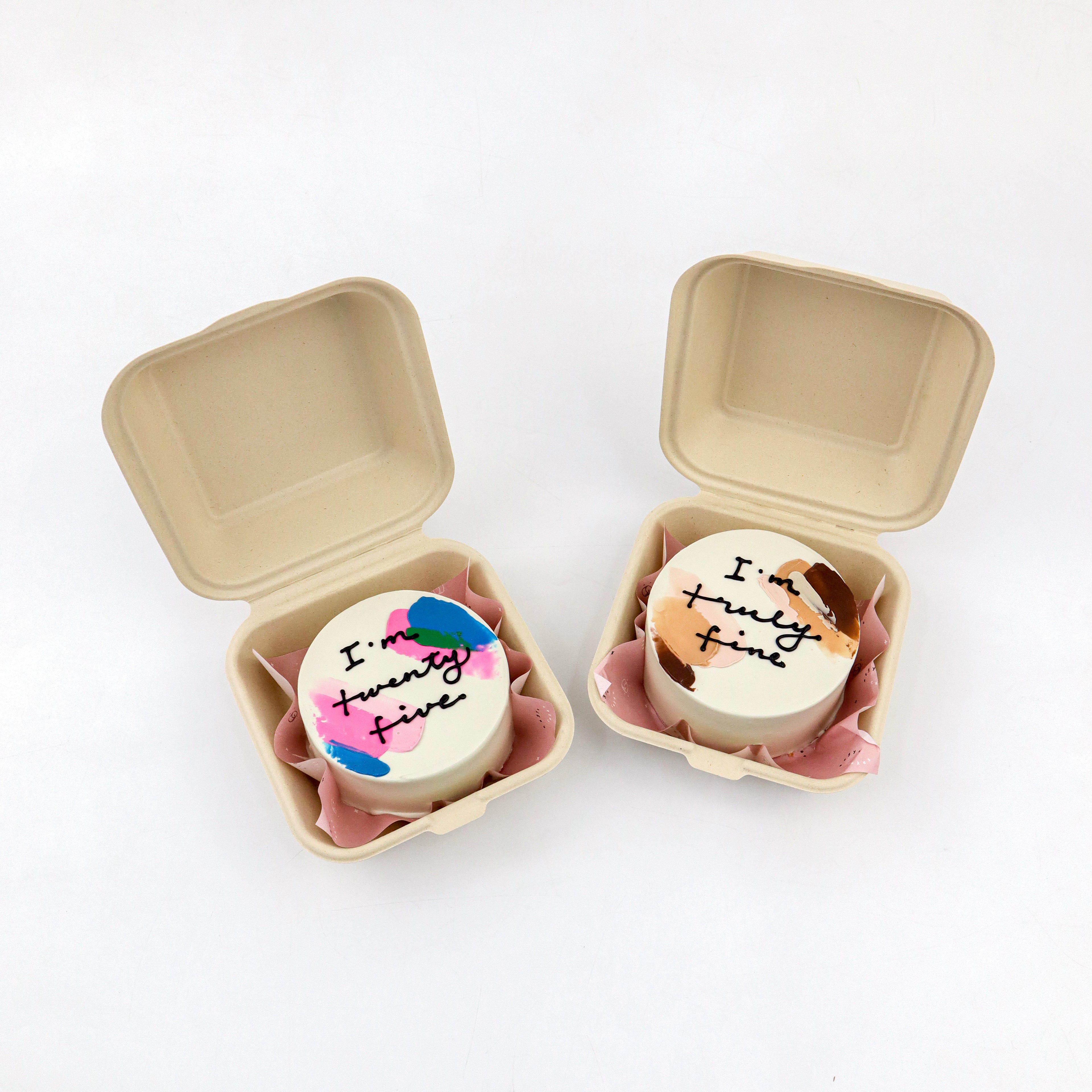 Lunchbox Palette Signature Aegyo Cake