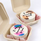 Lunchbox Palette Signature Aegyo Cake