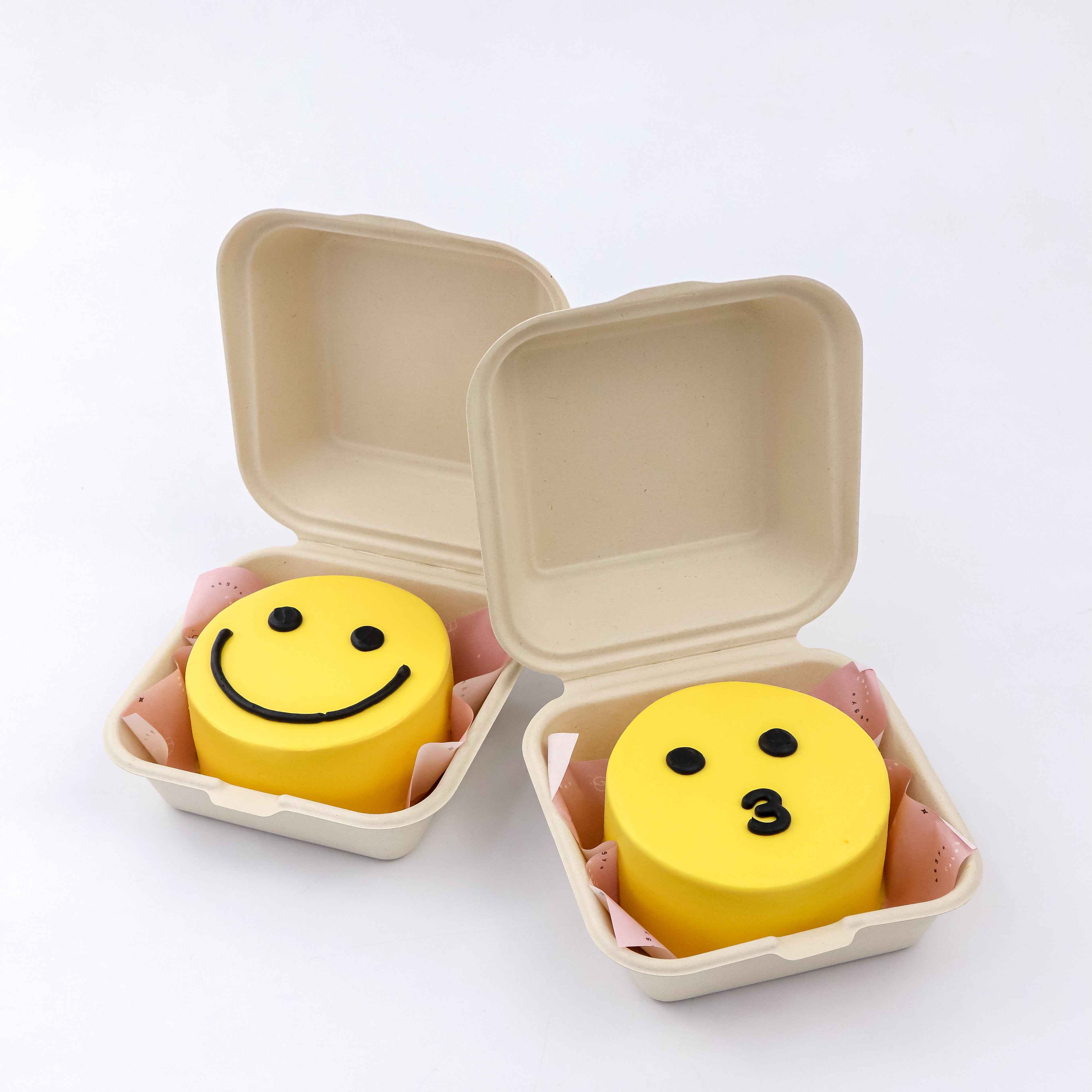 Lunchbox Smiley Signature Aegyo Cake